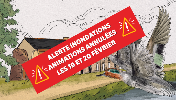 Annulation de nos activités les 19 et 20 février !